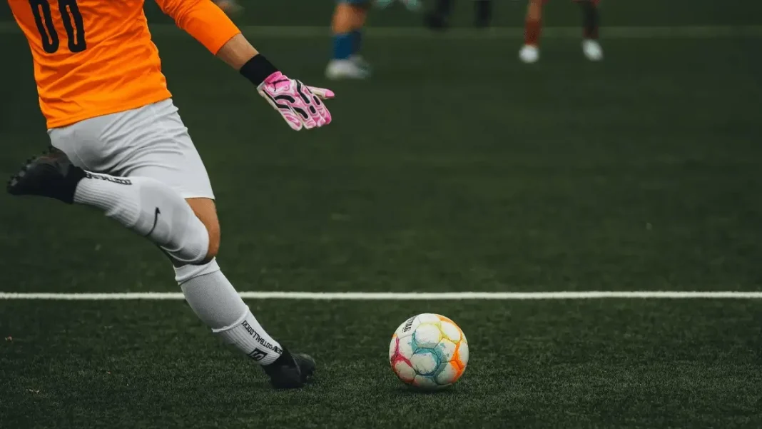 apostas esportivas brasil